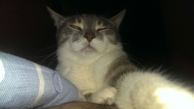 vitos141190's profile picture. 