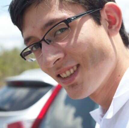Software developer