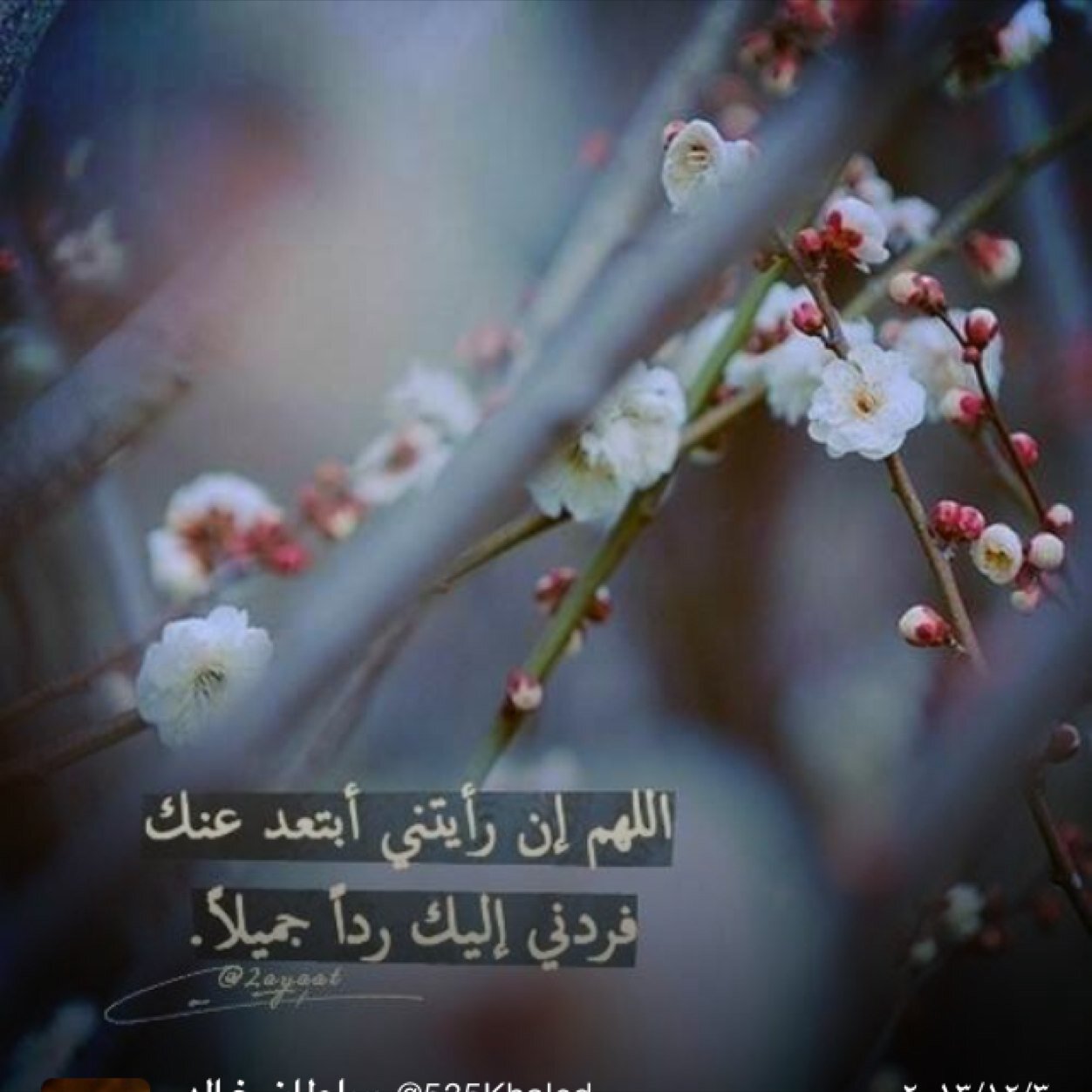 لآ آله آلآ آنت سبحآنكـ آنيء كنت من آلضآلمين ^