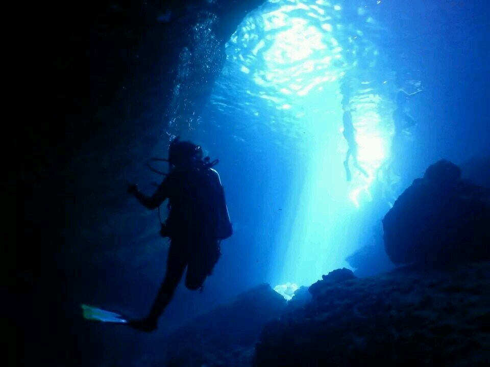 wusydney's profile picture. 