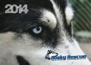 Husky rescue caring for those who where left behind.*♥
