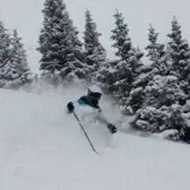 PowJunkie's profile picture. 