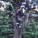 James Andy Erickson - @james_eri - Twitter