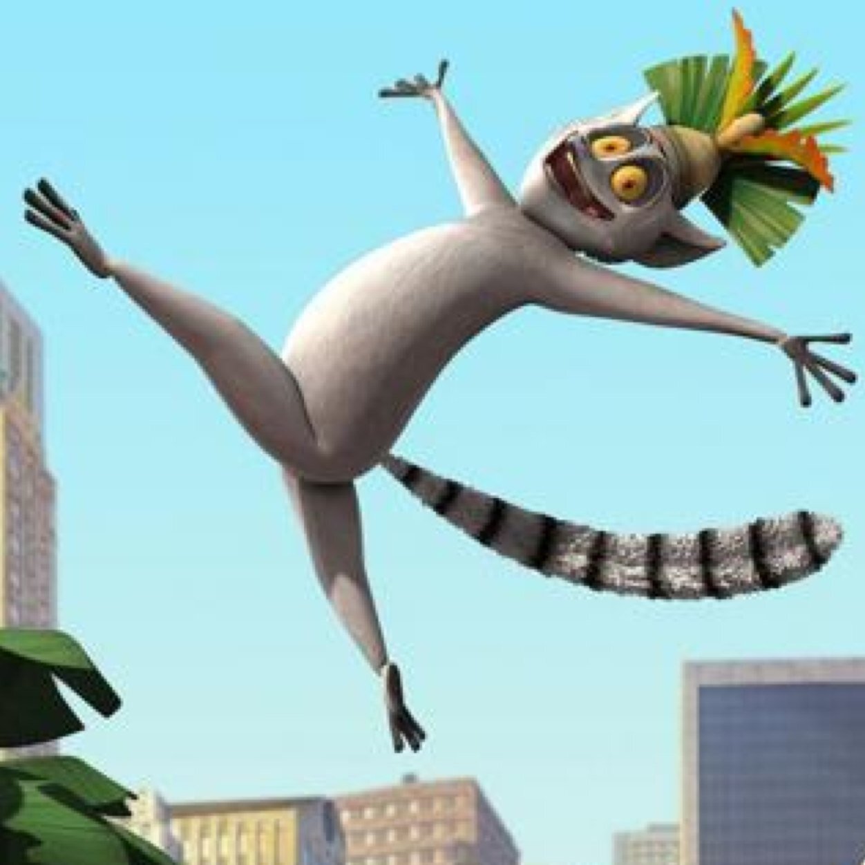 MAURICE GET ME SOME COCONUTS
