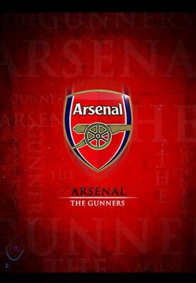ÖZIL❤ ● Gooner for Life! • #46