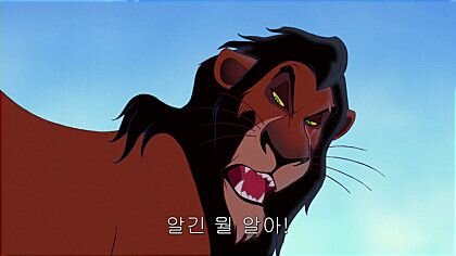 몸과맘 튼튼 대한민국 삼촌 / 그라비아 매니아 / 오로지 전효성♥ / 예스로리 노터치 / 건강한 삼촌들의 응큼한 상상을 지지합니다/ 맞팔 100%