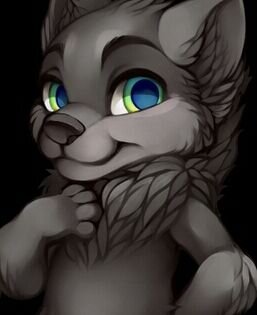 NomNom name:Shadowfire age:1 (irl) 18 mom: @Furry_Victoria  dad: @Furrystormfire