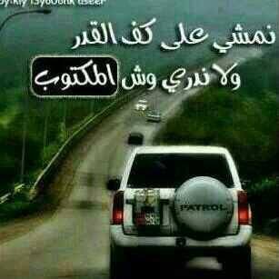 Web8821's profile picture. 