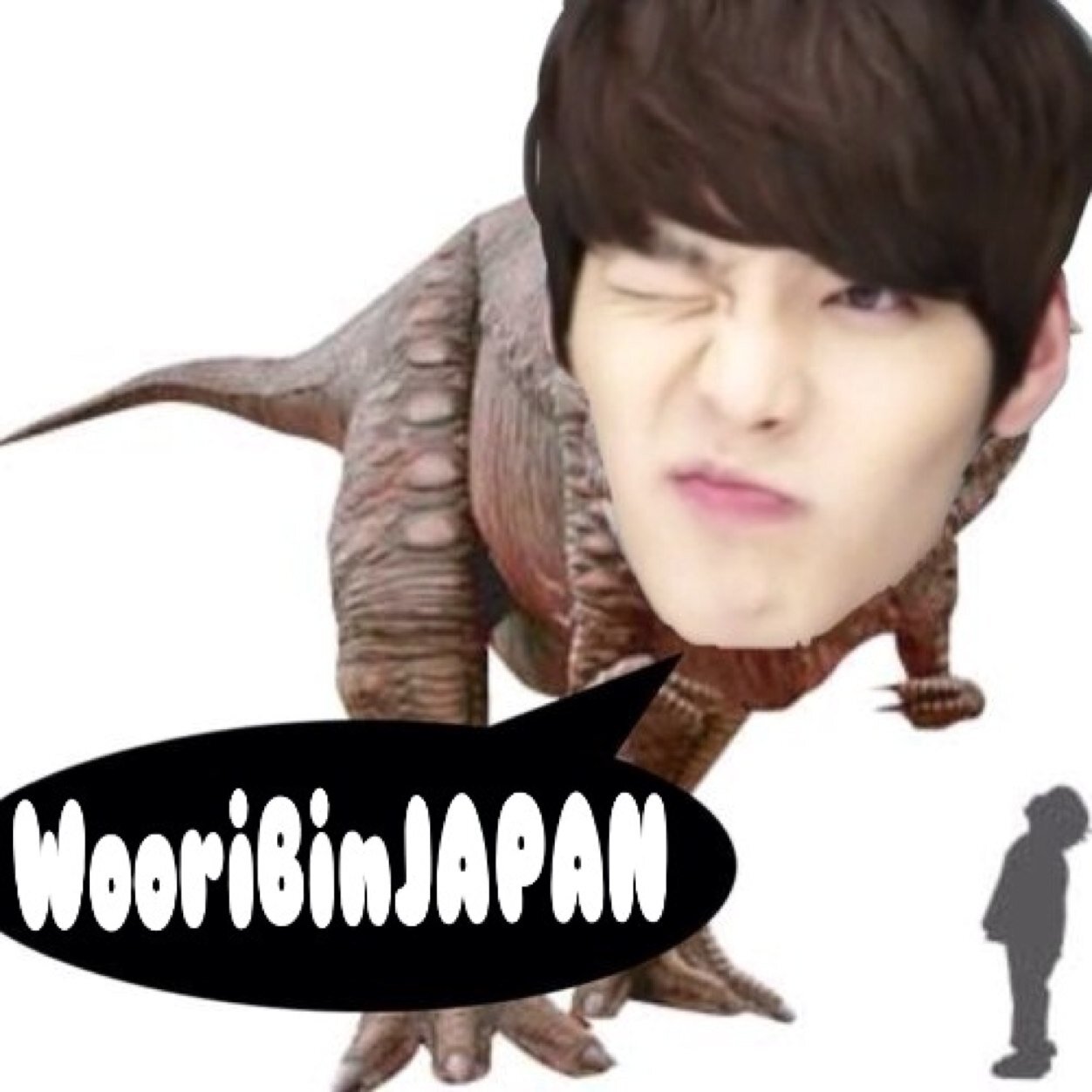 Wooribinjapanキムウビン Kimwoobin Jp Twitter