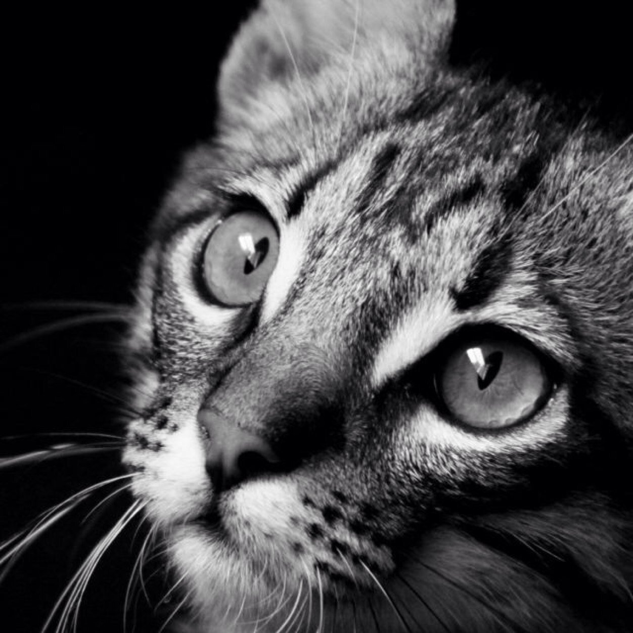 eifeifeif's profile picture. ♒️