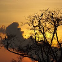A.kumak (@ahmetkumak) 's Twitter Profile