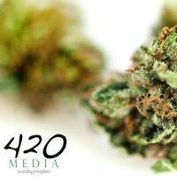 420MEDIA Agency(@420_MEDIA) 's Twitter Profile Photo