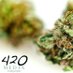 420MEDIA Agency (@420_media) Twitter profile photo 420MEDIA Agency (@420_media) Twitter profile photo