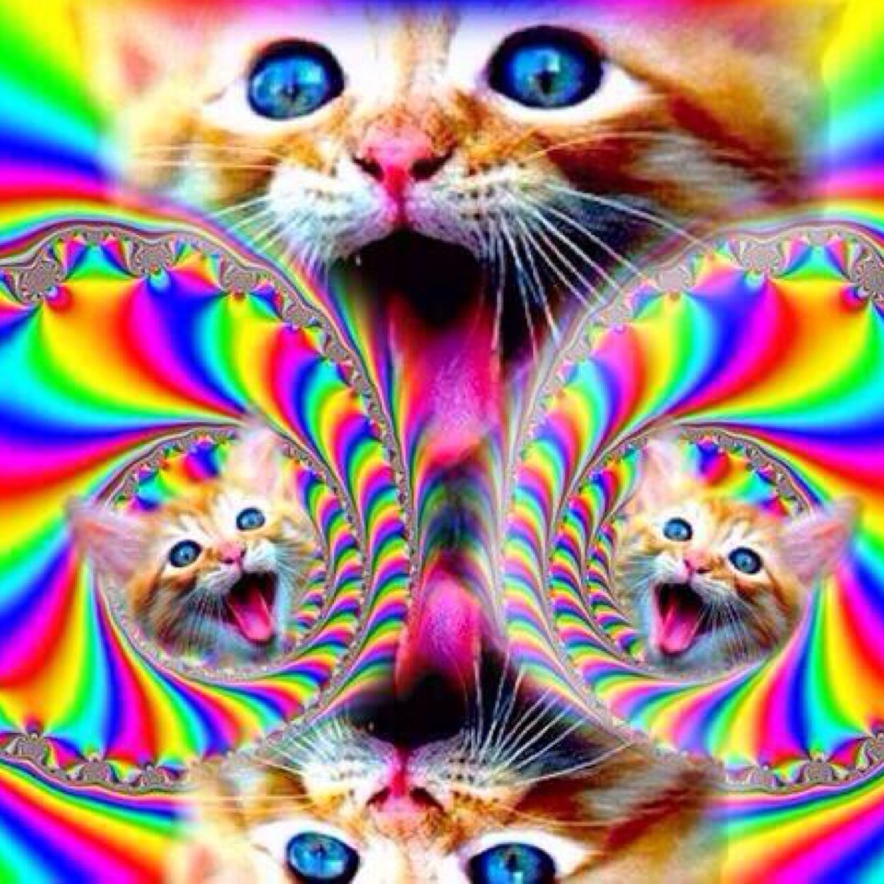 WhatGirsLike's profile picture. Love me like a lady☺️