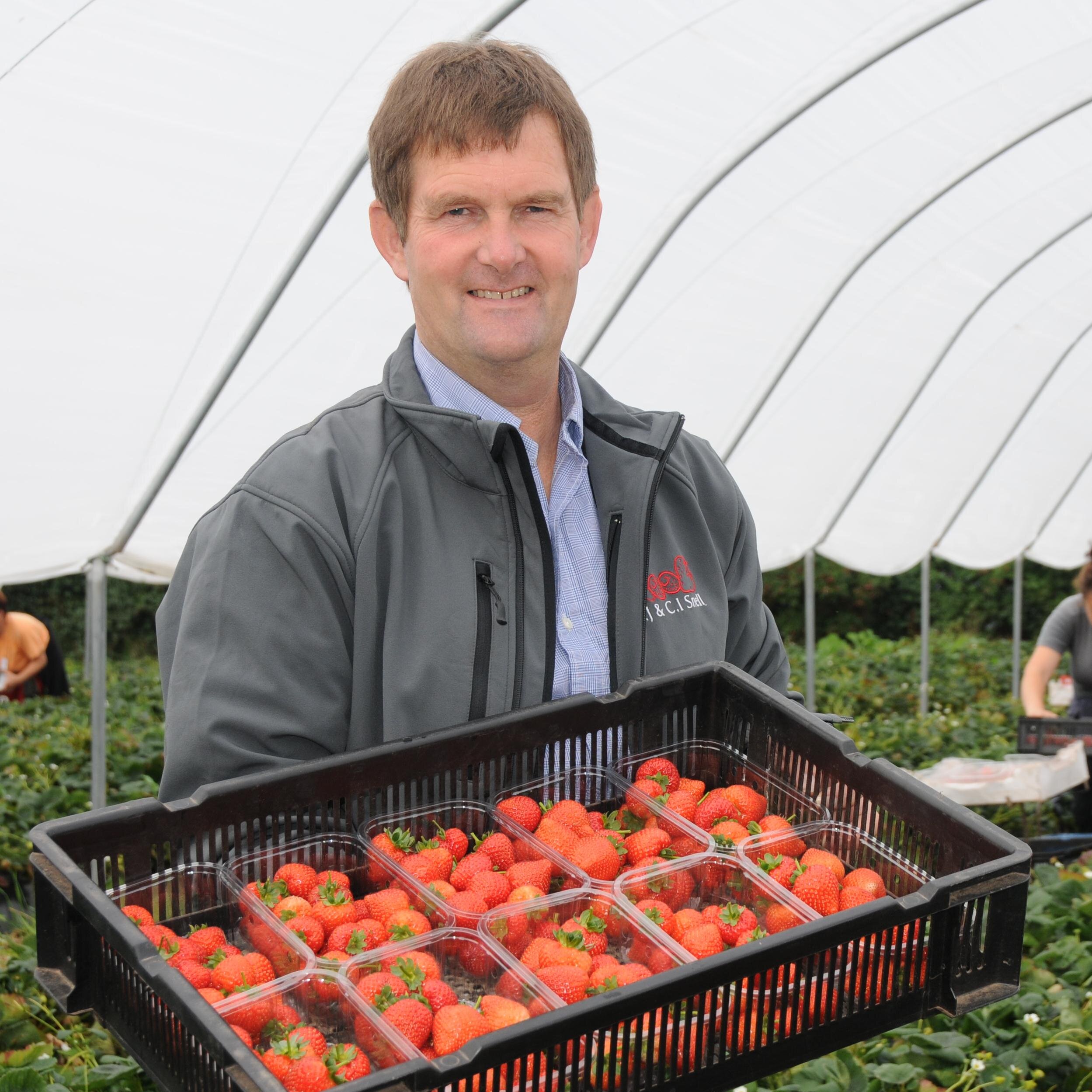 Soft Fruit grower @WindmillHFruits @BritFrozFruits.  #BerryGardens #NFUHort. #LEAF #NFUMutual #SoilAssociation #Fruiterers #LondonFarmersclub . views own!