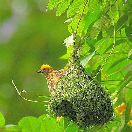 09lyFaiz's profile picture. 