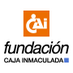 Fundación CAI - Cuenta sin uso (@CajaInmaculada) Twitter profile photo