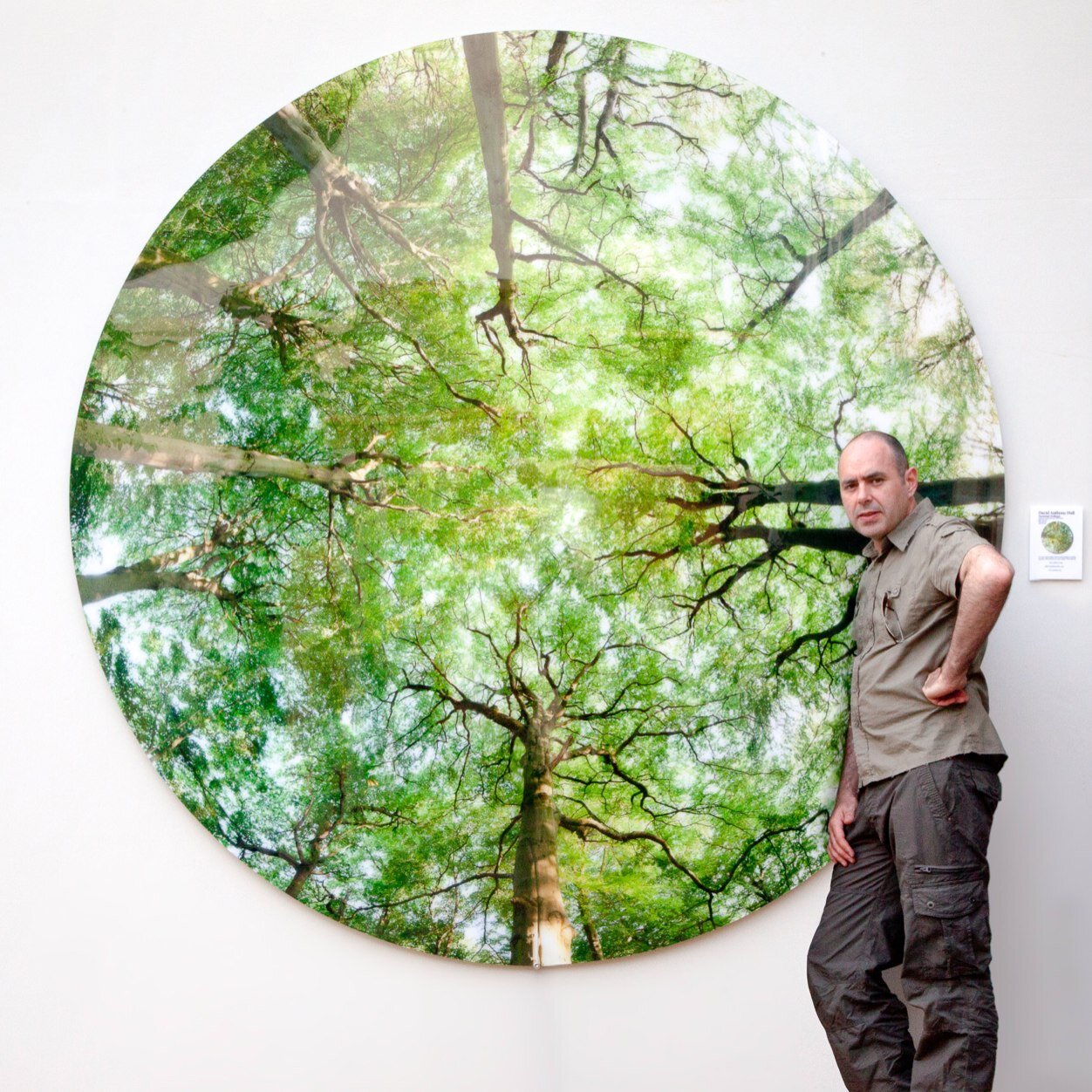 #nemophilist #treeporn