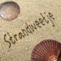 Wat weet jij van het strand?