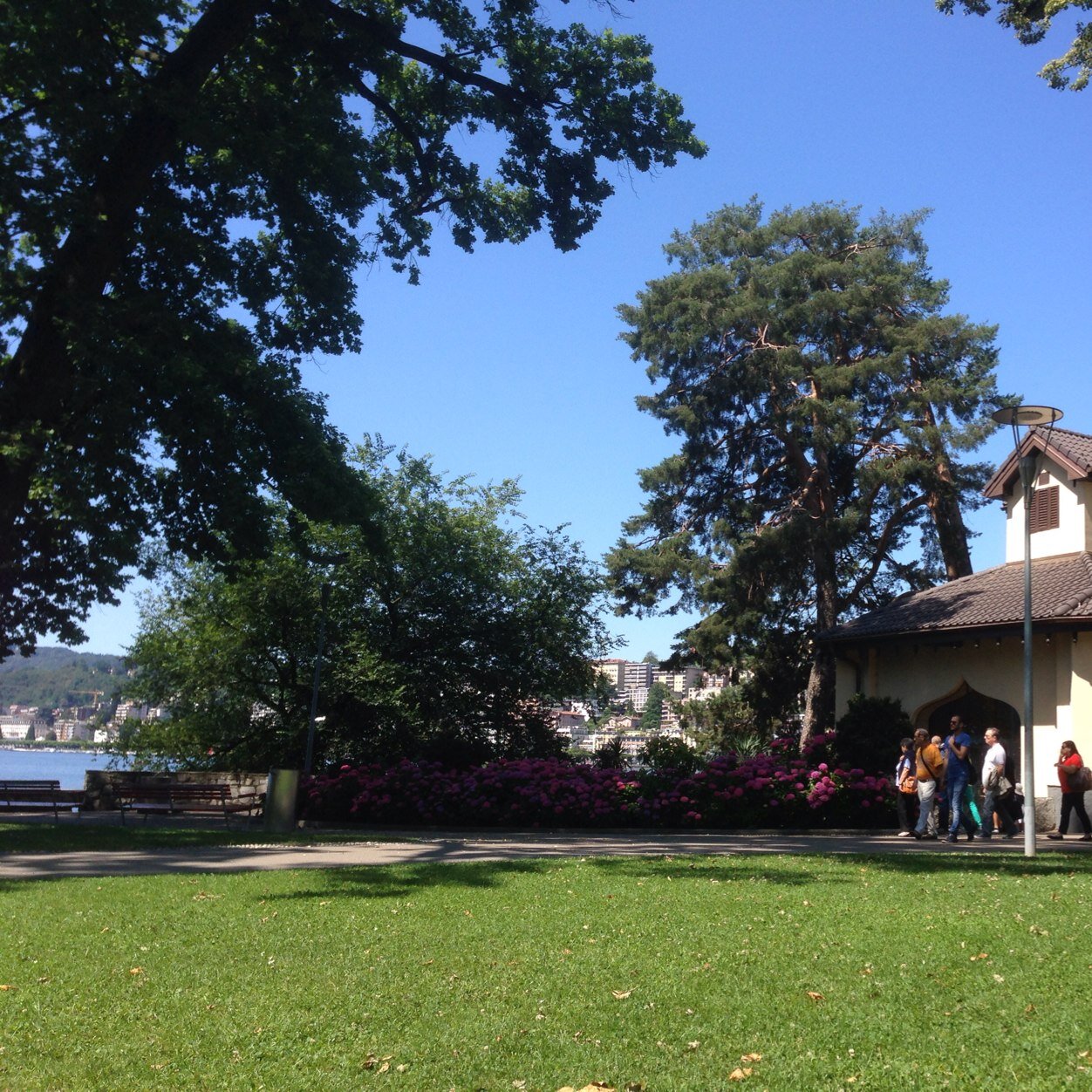 mrtilor's profile picture. 