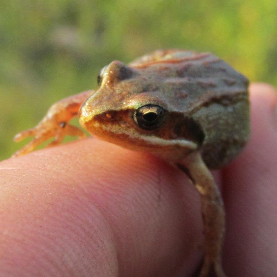 reyzmunt's profile picture. 