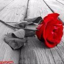 أخصائي اداري / ماجستير ادارة خدمات صحية ومستشفيات