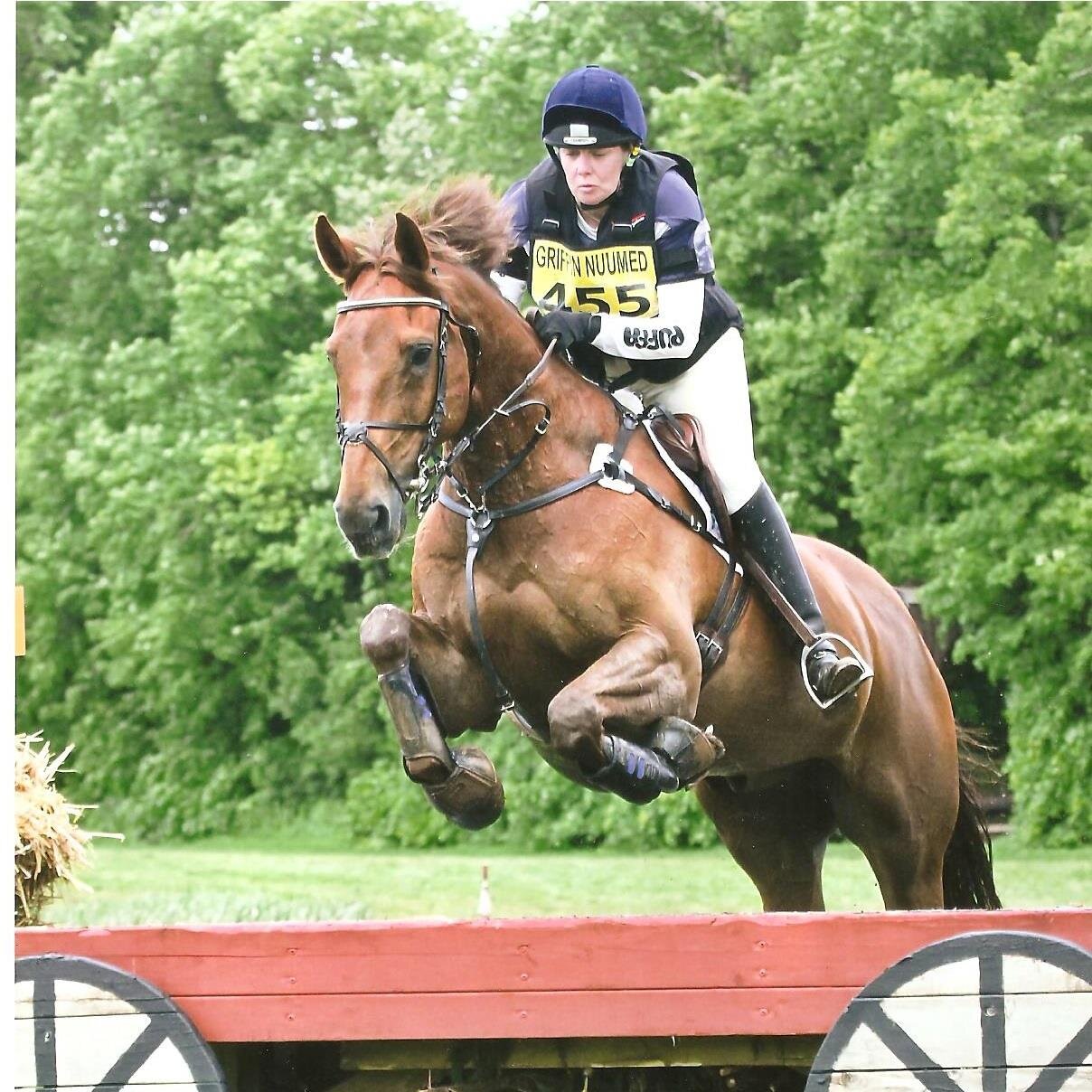 A working rider competing BE and BD to see how far she can get.  Also co-owner of a small livery business in Cornwall.