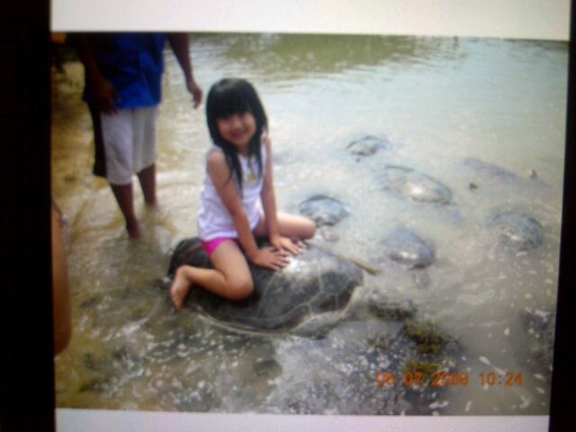 Vanessa_Gitar's profile picture. ☃