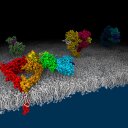 João Sequeira - @iquasere - Twitter