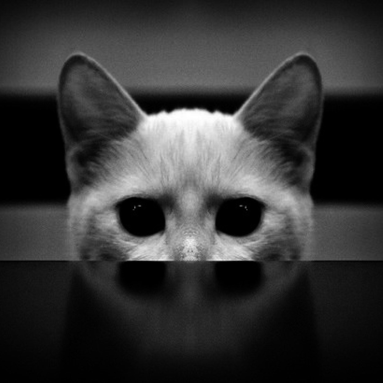 knstntine's profile picture. 