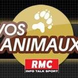 François Sorel et Laëtitia Barlerin, docteur vétérinaire, répondent à toutes vos questions sur les animaux de compagnie chaque dimanche de 6h à 8h sur RMC.