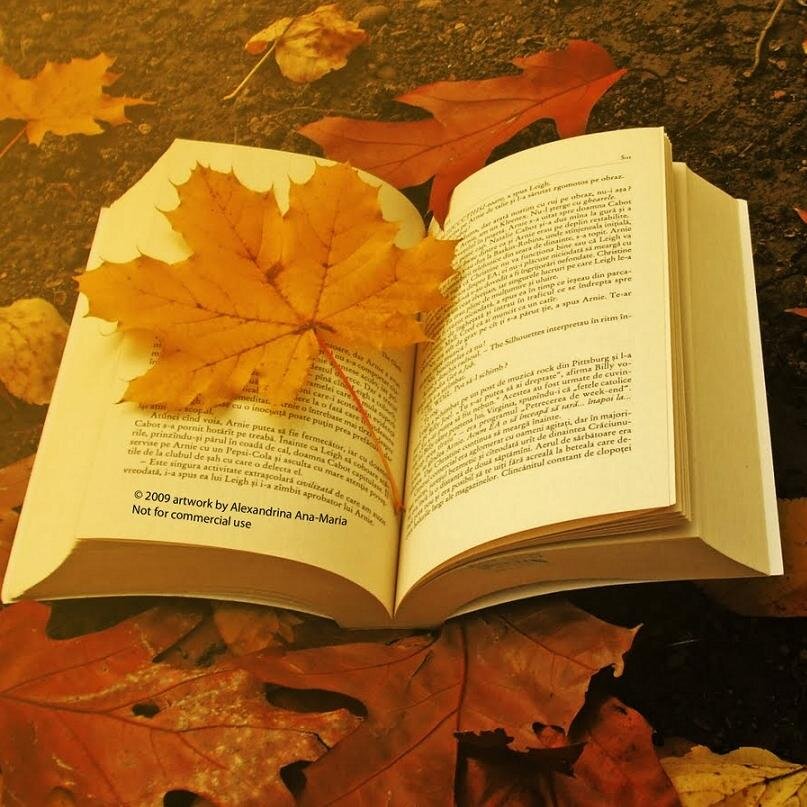 pels46's profile picture. Si la vida te roba páginas, tú escribe más!