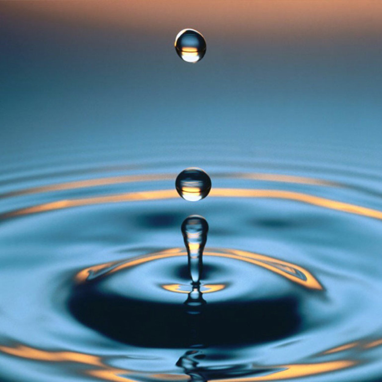 SaeedAlJufaili's profile picture. 