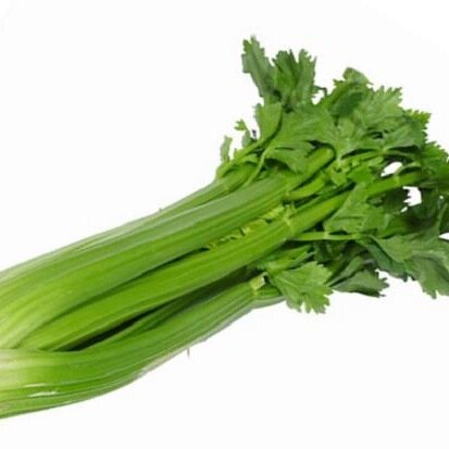 The best industry place to keep up with all the current pricing and updates in the vast ever changing produce world.