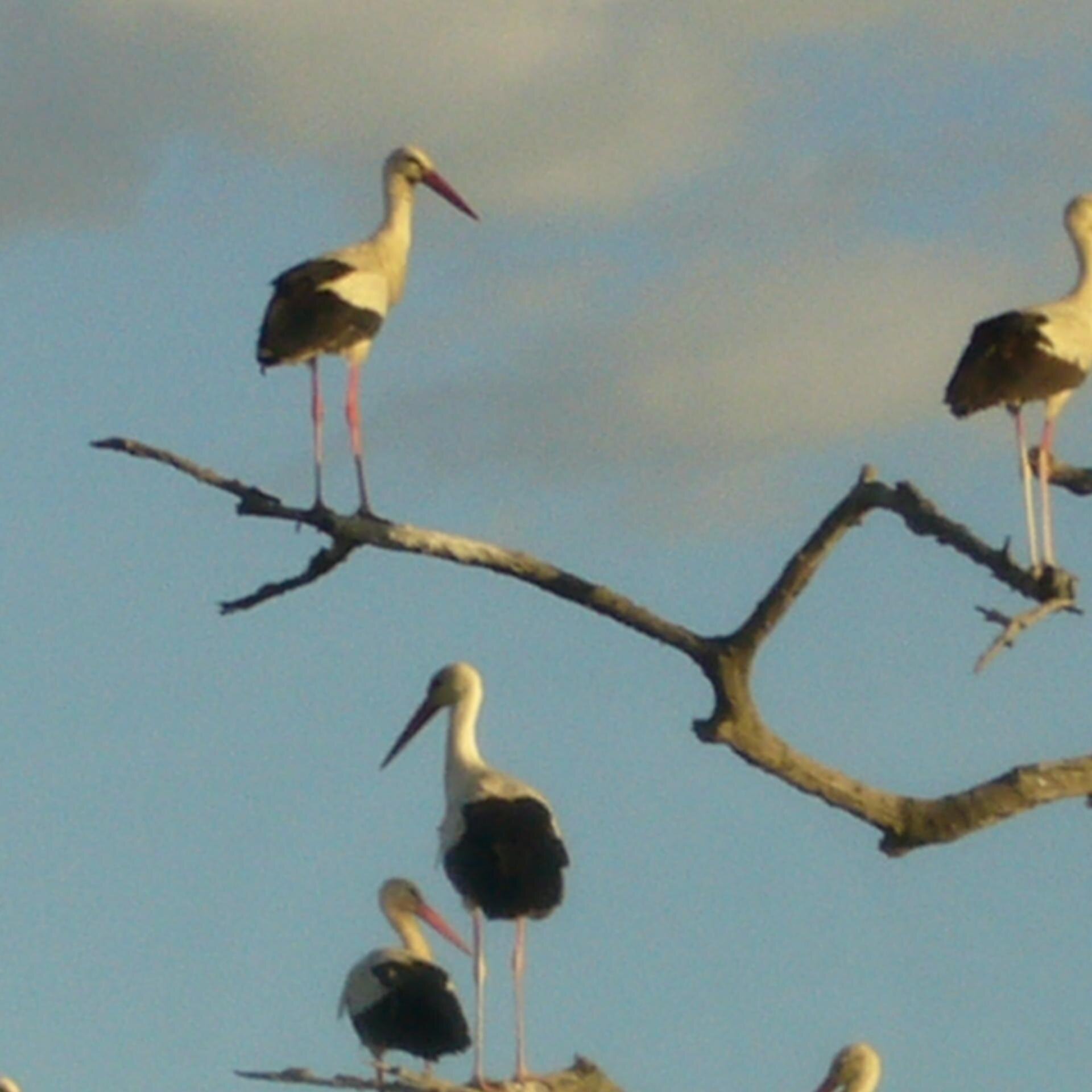 LaetitiaZobel's profile picture. Justice and Environment-Tweets my own.