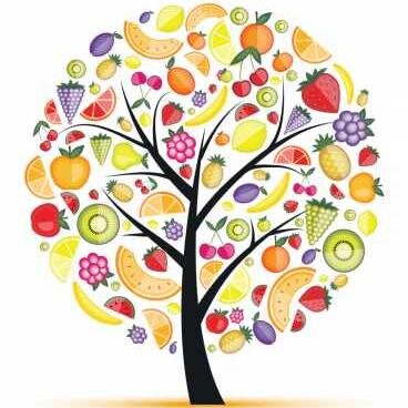 mobile juicebar in and around la Comunidad Valenciana 

REVITALISE YOUR DAY  :)