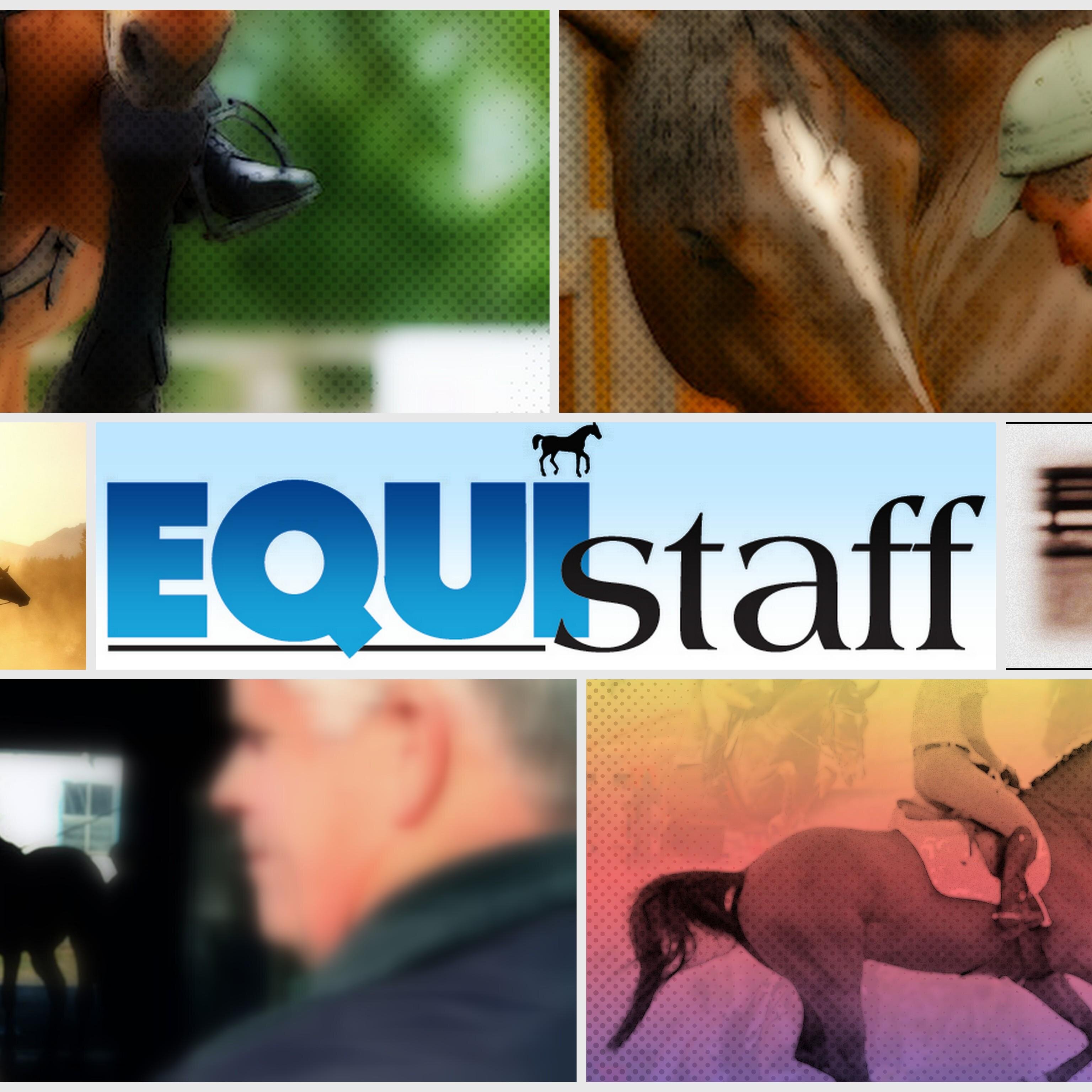 Staffing & Recruitment Services for the Equine Industry! Fast, Focused, Worldwide - Since 1982! Let us help you find your dream equine-focused job!