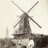 Olymolen's profile image