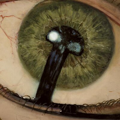 ReisCyclone's profile image