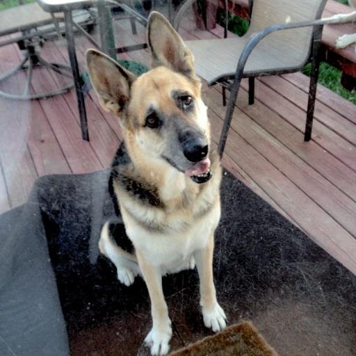 djindiana's profile picture. 