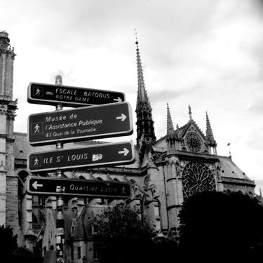 dal2012's profile picture. E non ho paura dei cambiamenti e mi impegno e mi preparo molto per il mio futuro. Non chiedetemi l'eta per favore!  #bluenote #tumblr #holybread