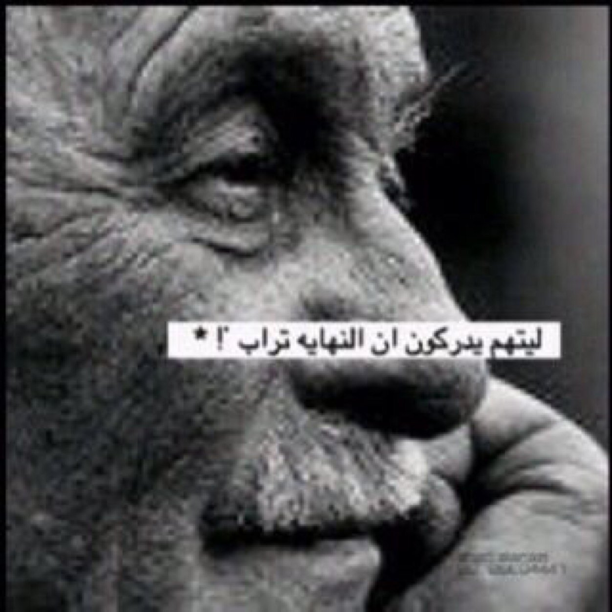 7C9D1233 اسف لاني غلطان