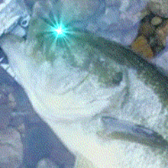 cd01_jp's profile picture. 