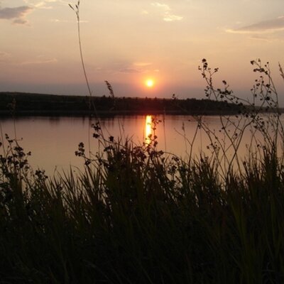 Tweets with replies by Rockin Roddy (@RockinRoddy) | Twitter