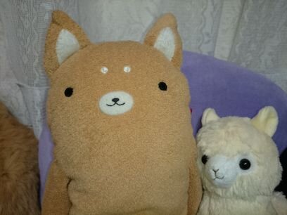 札幌のSAORI です。
色々な音楽にはまってます。
ライブに行くのが生き甲斐です。
雑多に色んなアーティストさんの事呟きます。ライブやラジオの前後は五月蝿いです。