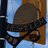 HespelerBuzz's profile image