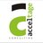 acceltage consulting