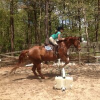 Anna Rose (@asoergel14) 's Twitter Profile