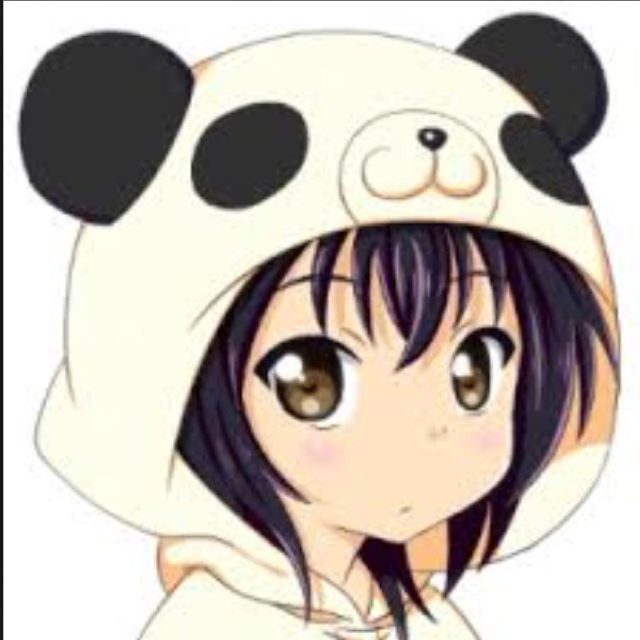 Crazy_PandaBaby's profile picture. Hi, I'm the baby and princess of the CrazyPandaFamily. My brother is @CrazyPandaNate and my sister is @CrazyPandaQueen.