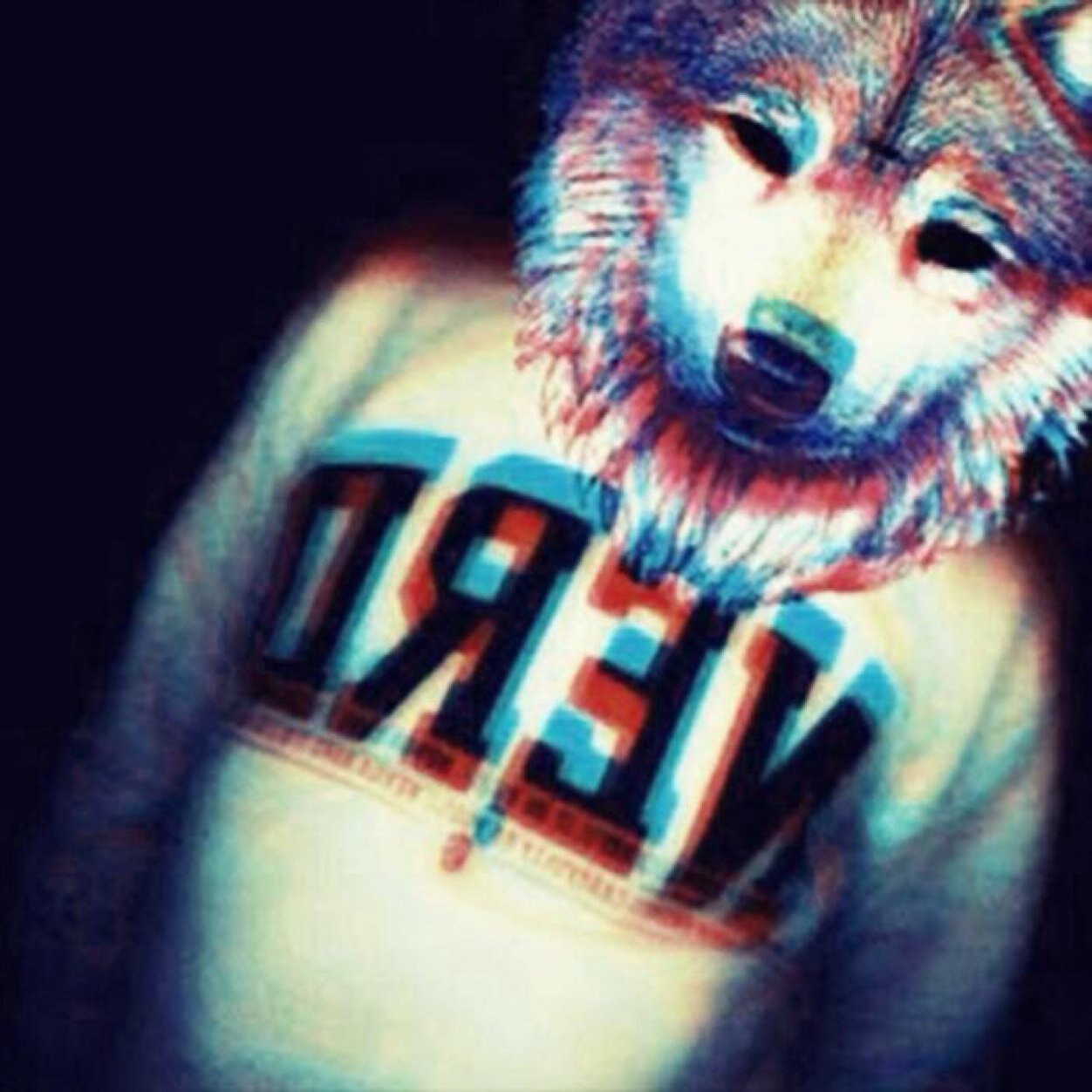 Sheepy_tK's profile picture. 